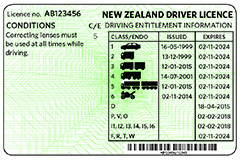 driver-licence-back.jpg